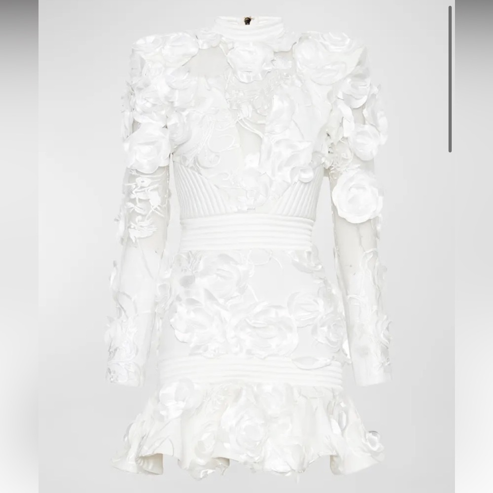 NEW NWT ZHIVAGO Vendetta Floral Mesh Mini Dress